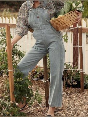 Doen Myrtle overall hickory stripe jumpsuit